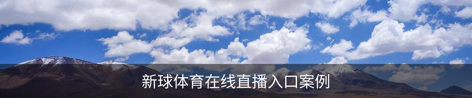 新球体育在线直播入口案例
